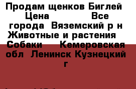 Продам щенков Биглей › Цена ­ 15 000 - Все города, Вяземский р-н Животные и растения » Собаки   . Кемеровская обл.,Ленинск-Кузнецкий г.